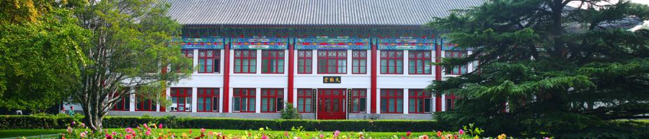 类别4